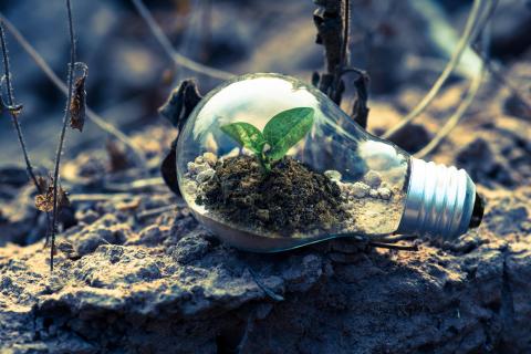 Green Jobs